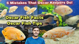 Oscar Fish Facts amp Tips  Tankmates Best food for Oscar  6 Mistakes That Oscar Keepers do [upl. by Wonacott64]