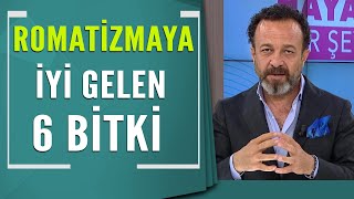 Dr Ümit Aktaş Romatizmaya iyi gelen 6 bitkiyi açıkladı [upl. by Atiuqehc722]