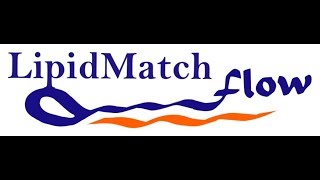 LipidMatch Flow V 10 Tutorial 4 Interpreting Results [upl. by Anertal]