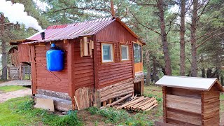 Hiding Alone in the Forest Building a Woodshed Making Delicious Food Preparing for Winter [upl. by Enyawud]