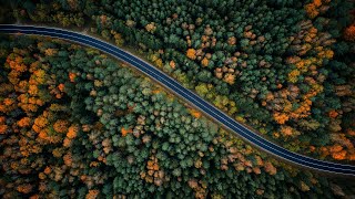 Fall  Dji Mini 2 SE Cinematic [upl. by Jennette]