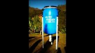 Auto Feeder  Alimentador Automático para peixes e outros animais [upl. by Enoyrt608]