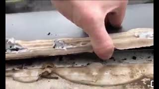 Forest River RV Roof Seal Problem Uncovered [upl. by Ecarg]