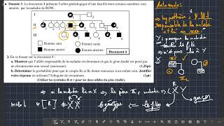 EXERCICE DE LEXAMEN NATIONAL  genetique humaine dir attention m3a had les astuces [upl. by Ertemed]