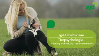 Tierpsychologie im Fernstudium  Selina berichtet [upl. by Naples]