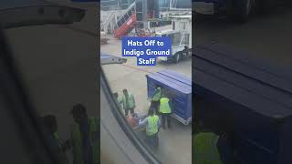 RESPECT Indigo Ground Staff Loading Baggages in Flight respect indigo [upl. by Alial99]