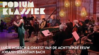 Lucie Horsch amp Orkest van de Achttiende Eeuw  Bach  Klavecimbelconcert BWV 1053  Podium Klassiek [upl. by Ecinnej]