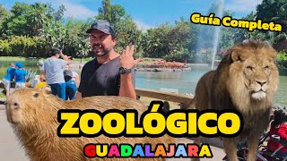 Así es el ZOOLÓGICO de GUADALAJARA 2024 Guía Completa Precios y mas [upl. by Eartha747]