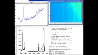 Intro to DIY Raman Spectroscopy [upl. by Aisined]