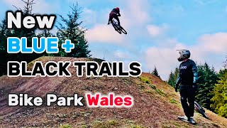 Riding New Trails at Bike Park Wales mtb downhill bikepark bike mountainbike mtblife mtblove [upl. by Lalise]