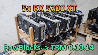 5x RX 5700 XT  PowBlocks Hashrate amp Profit TRM 01014 [upl. by Yemirej238]