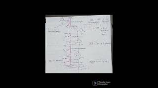 Pyrimidine synthesis pathway india mbbs medical notes biochemistry pyrimidine pathway [upl. by Etnoid]