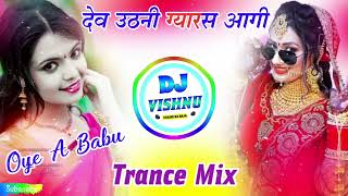 देव उठनी ग्यारस आगी छपवाली ब्याव का नोता🤪New Meena Geet 2025 Dj Remix👑Devuthani Dj Remix Song 2025 [upl. by Ecadnak]