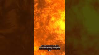 Exploring the Blazing Heart of the Sun viralshort facts factshorts fact fbreels fb sun [upl. by Brinna262]