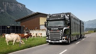 Scania Schweiz AG Kalender 2016 August [upl. by Kath]