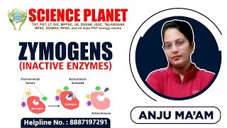 Zymogens Inactive Enzymes Explain by Anju Mam of Science Planet [upl. by Kira]