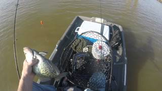 Crappie fishing Sardis Lake MS [upl. by Einahteb]