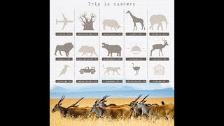 2 Trip in numbers [upl. by Ennayd878]