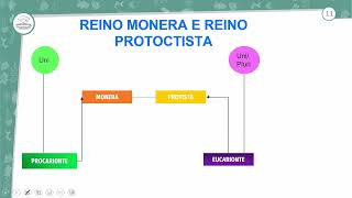 151  REVISÃO GERAL  UNIDADE I  BIOLOGIA  1º ANO EM  AULA 1512024 [upl. by Tatiana]