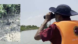 Pemberdayaan Pengelola Mangrove Melalui Eduwisata untuk Keberlanjutan Mangrove Edupark Pulau Cisiu [upl. by Aisatsan]