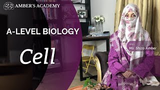 A Level Biology Cells Part 3  Cambridge 9700  Ms Shiza Amber [upl. by Lantz]