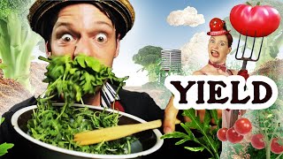 Yield  Formidable Vegetable  Grow Your Own Food Permaculture Music Video [upl. by Askari]