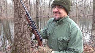 I Discuss Social Cues Rabbits People And The Beeman QB78 As I Plink At Close Range Pellet Rifle [upl. by Anilatsyrc928]