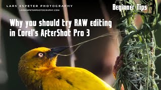 Photography Beginners Tip Why After Shot Pro 3 might be ideal for you [upl. by Atiuqram]