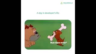 Developers Life  Run Time Error  Bugs [upl. by Allanson]