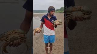 नर आणि मादी खेकडा कसा ओळखतात  difference between male amp female crab crabcatching [upl. by Rogergcam990]