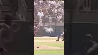 Randy Johnson hits a bird mlb baseball mlbhighlights shorts [upl. by Osgood]