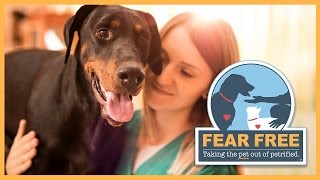 Fear Free A Transformative Initiative for Veterinary Professionals [upl. by Gamali]