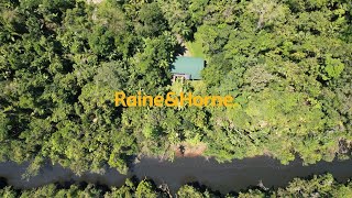 FOR SALE 3198 MossmanDaintree Road Daintree [upl. by Disario]