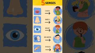 5 Senses Challenge Can You Guess with Your Eyes Closed [upl. by Akemak]