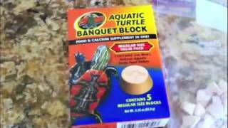 How To Give Extra Calcium to your Turtle [upl. by Tallou]