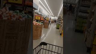 Shopping at Food Lion on SC8 Pelzer SC 972024 [upl. by Arihaj]