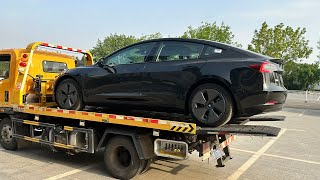 O noua livrare EvDrive  Новая поставка от EvDrive  Tesla Model 3 Tesla Model Y [upl. by Idolla242]