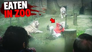 These 3 Men Were EATEN ALIVE After Sneaking Into Zoo Enclosure [upl. by Schreibman92]