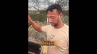 🎥Créditos marcinhooficial funnymoments tentenaorir engraçado memes humor rir comedia [upl. by Yarazed]