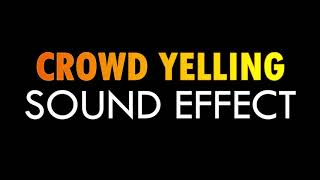 Crowd Yelling Sound Effect  HX Sounds [upl. by Elleda]