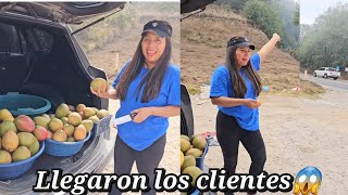 Puse Mi Venta de Mangos en la Carrretera😱 no me Quisieron Ayudar Yo sigo Luchando para Mi Casa😱🥺 [upl. by Egamlat]