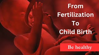 From Fertilization To Child Birth  Medical Animation By Be healthy  2024 [upl. by Nrek103]