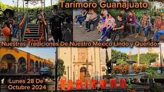 Tarimoro Guanajuato Lunes 28 De Octubre 2024 [upl. by Pevzner302]