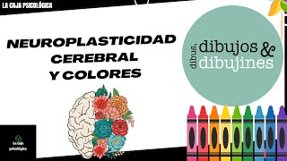 La Neuroplasticidad cerebral y su relación con los colores [upl. by Lebiralc812]