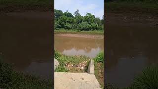 Sungai Citarum mulai surut citarumharum banjir [upl. by Norek]