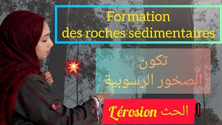 formation des roches sédimentaires تكون الصخور الرسوبية شرح مفصل للدرس [upl. by Slein609]