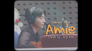 Cover by 로이킴 Damien Rice  Amie 📹 가사해석 [upl. by Bloch156]