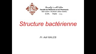 Structure bactérienne [upl. by Atteuqram]