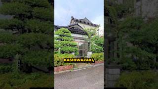 A Spacious Japanese House in Niigata at THIS Price 🏠 shorts japan [upl. by Coheman]