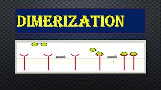 DIMERIZATION part1 [upl. by Perri]